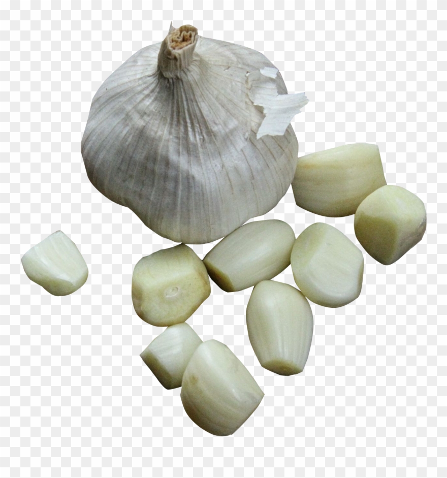 Author Image - Png Garlic Clipart