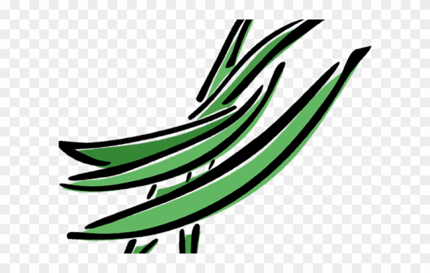 Bean Clipart Cool Bean - Green Beans - Png Download
