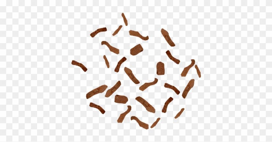 $12 - - Chocolate Clipart