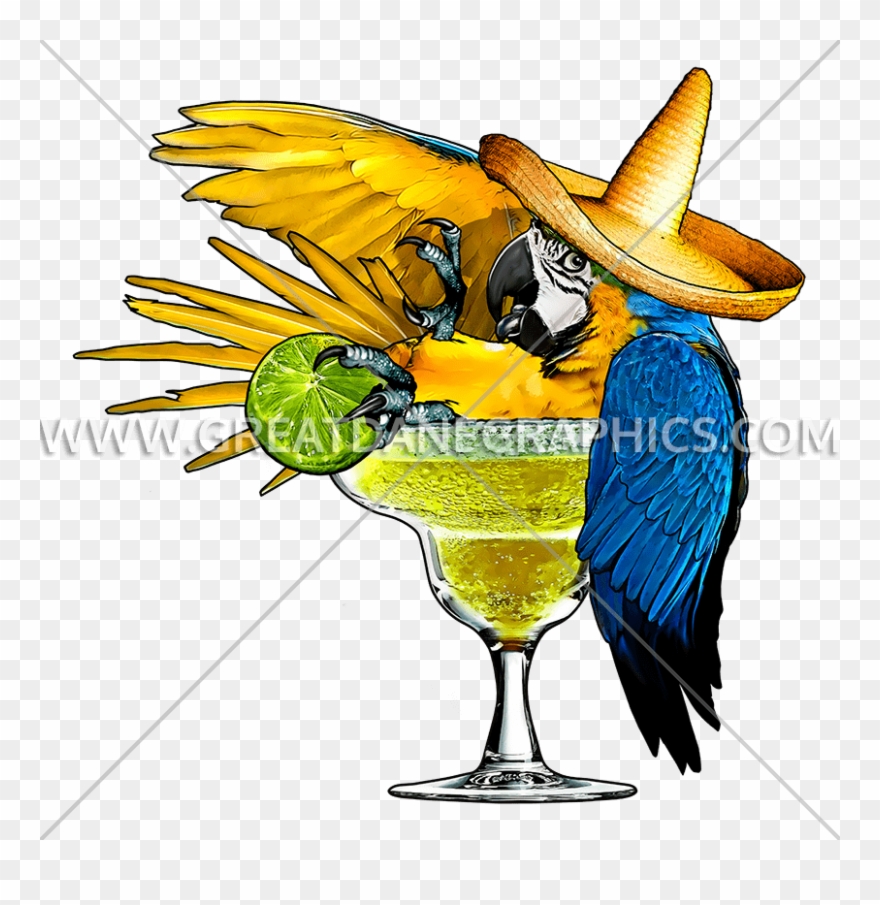 Margarita Production Ready Artwork For T Shirt - Parrot In Margarita Glass Clipart