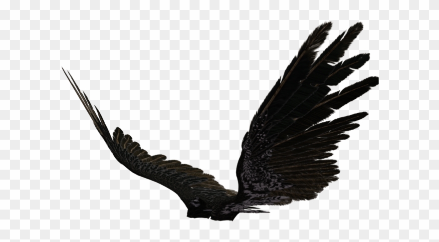 Dark Angel Clipart Pegasus Wing - Transparent Black Angel Wings - Png Download