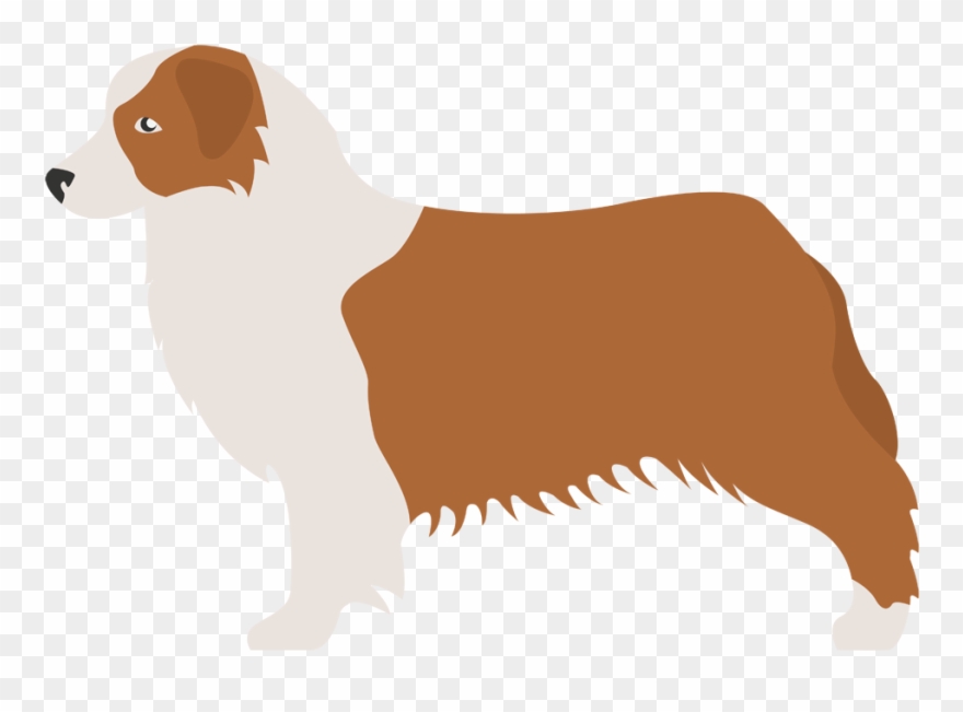 Pastor Australiano - Kromfohrländer Clipart