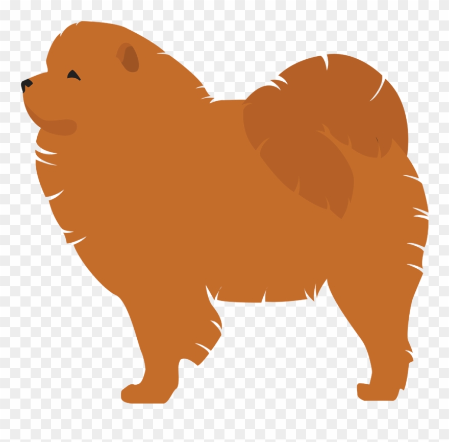 Chow Chow - Dog Breed Clipart