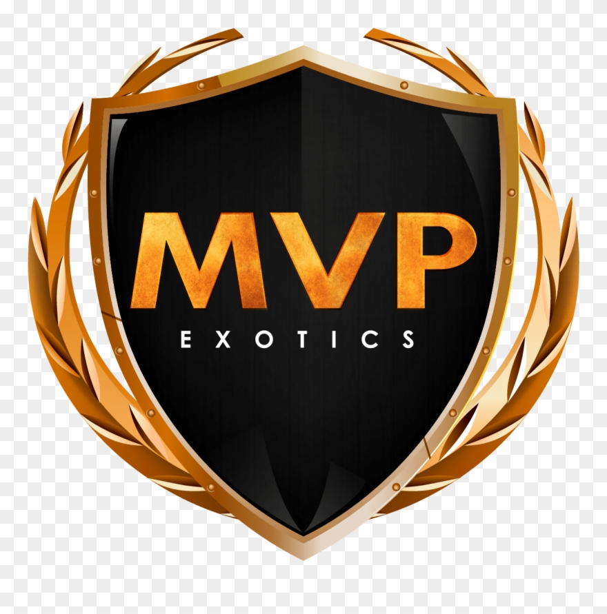 Miami Exotic Cars Rental - Emblem Clipart