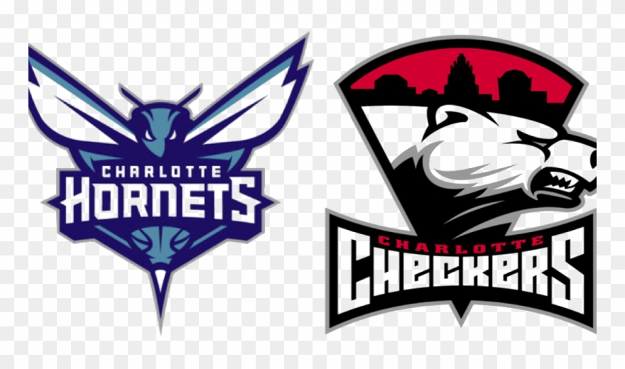 Charlotte Hornets Png Hd - Charlotte Hornets Logo Jpg Clipart