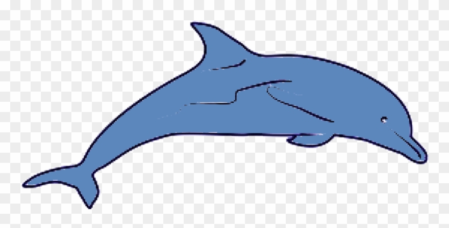 Delfin Gif Images Download Gif Delfin Gif - Icon Clipart