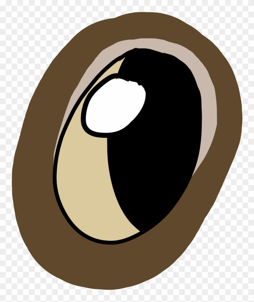 Ravens Eye - Illustration Clipart