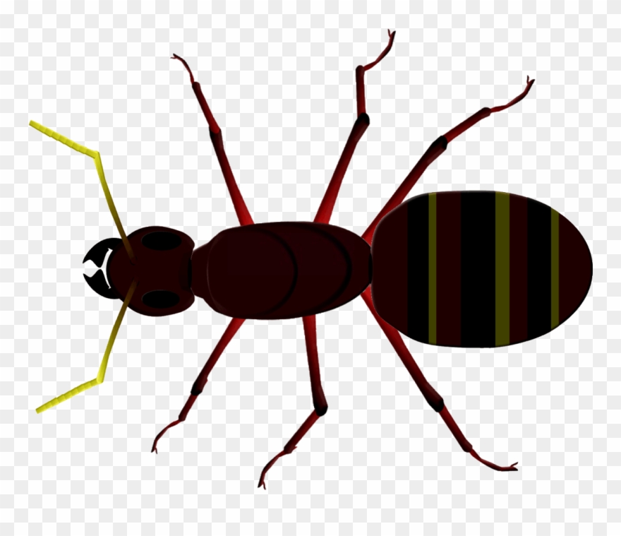 Ant Clipart Tiny Ant - Ant - Png Download