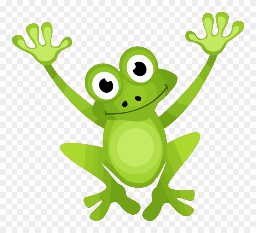 Next - Dessin De Grenouille En Couleur Clipart