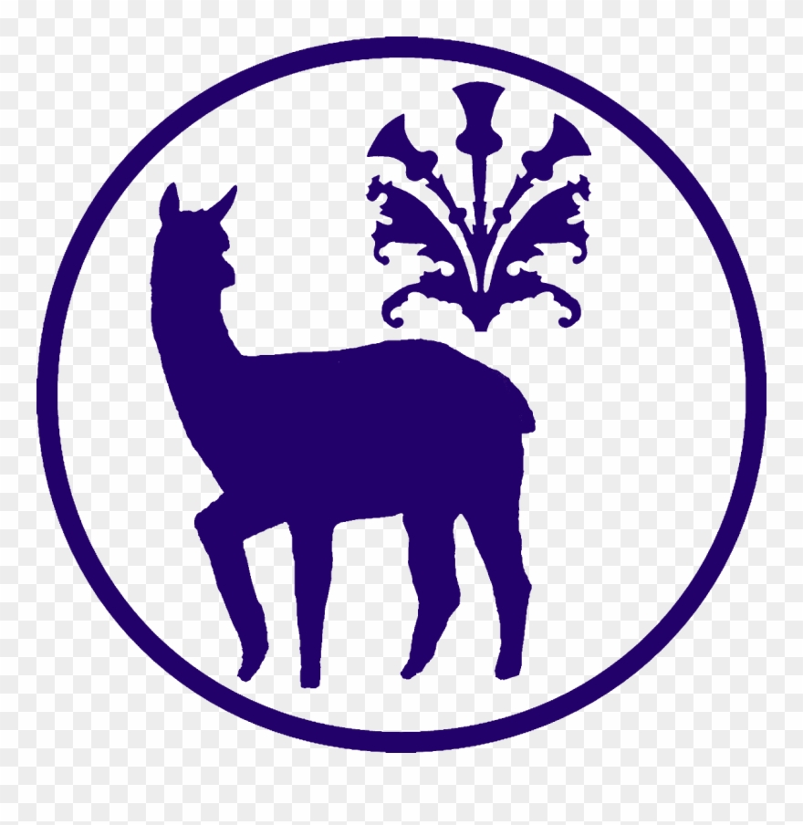Alpaca Clipart