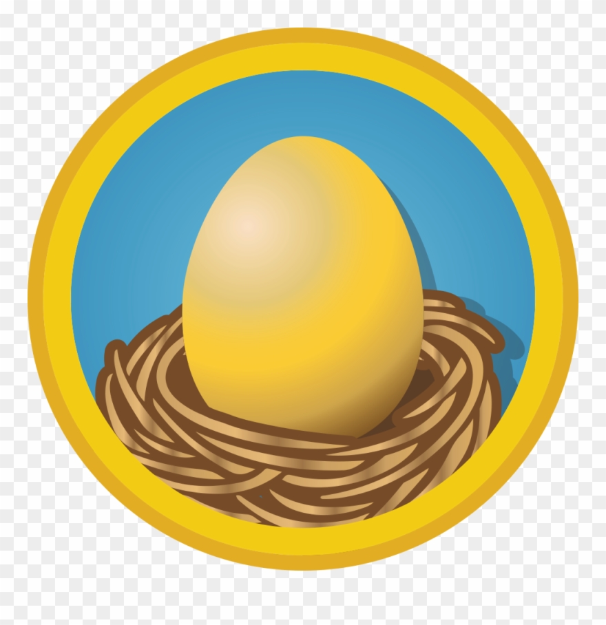 Building Your Wall Street Survivor Courses - Egg Clipart