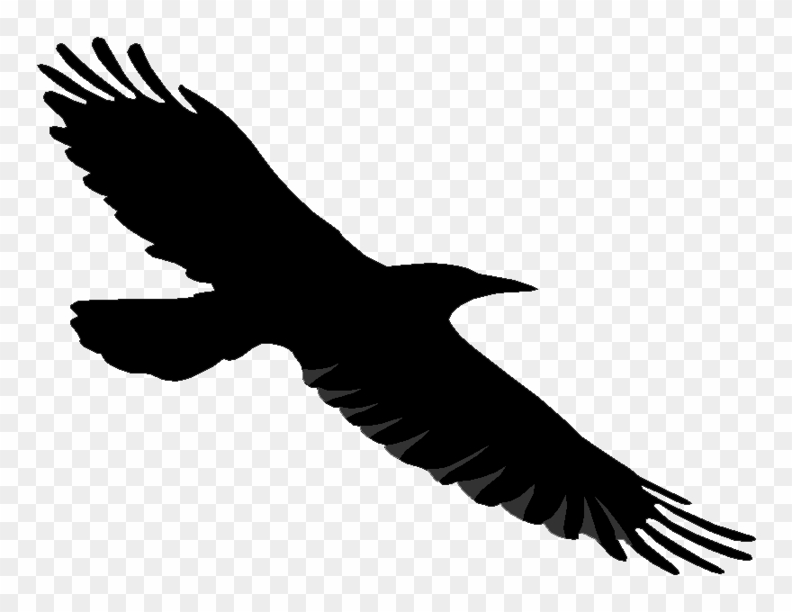 Ravens Clipart - Raven With Transparent Background - Png Download