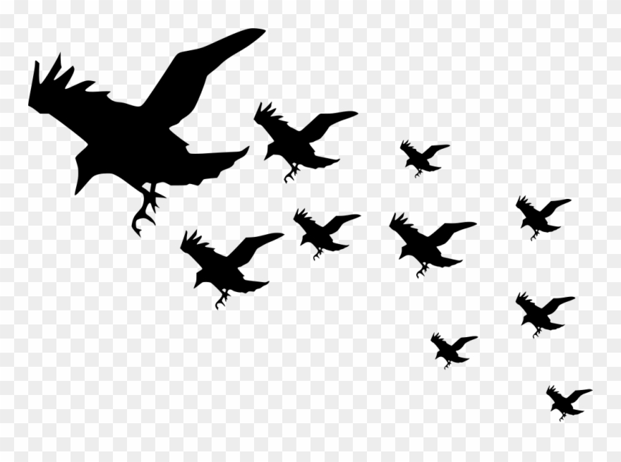 Flying Crow Png 3, Buy Clip Art - Raven Silhouette Transparent Png