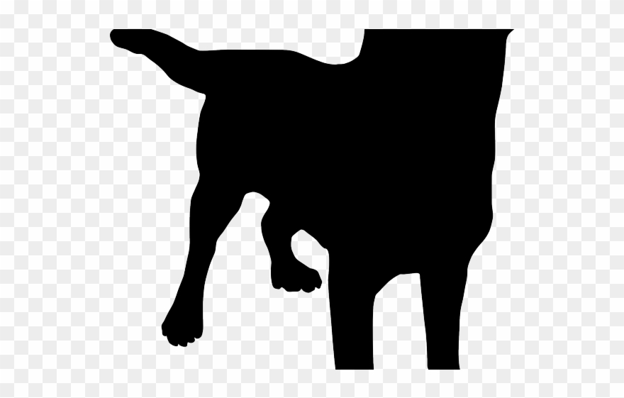 Cat Clipart Hunting - Png Download