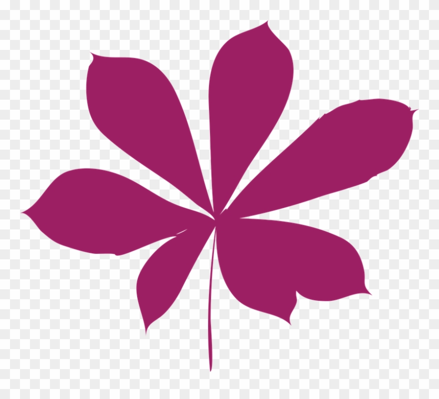 Pink Leaf Cliparts 1, Buy Clip Art - Autumn - Png Download