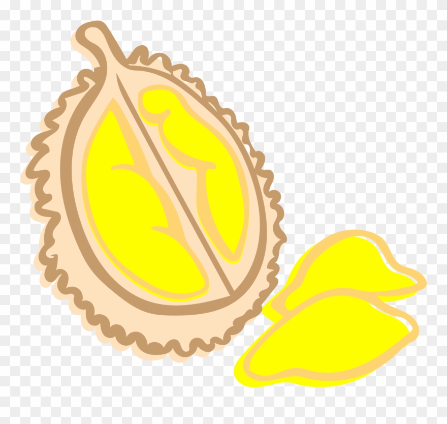 Durian - Illustration Clipart