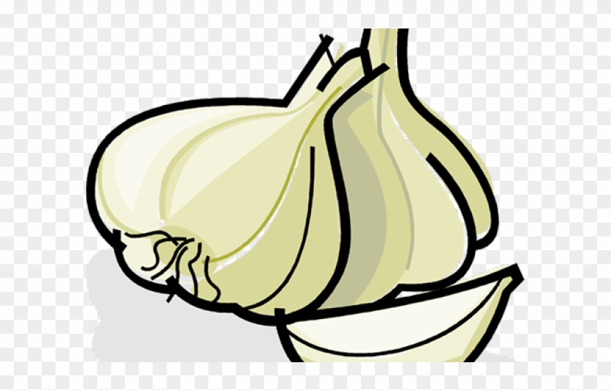 garlic clipart vector garlic clip art png download 1426861 pinclipart garlic clipart vector garlic clip art