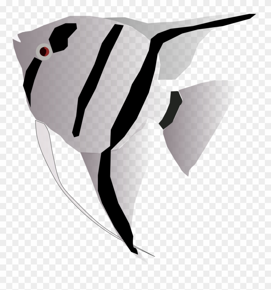 Angel Fish Cliparts 23, Buy Clip Art - Angel Fish Svg - Png Download
