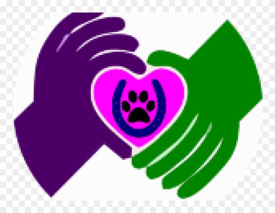 Aug 29 - Rombauer Napa Valley Cabernet Sauvignon Diamond Selection Clipart