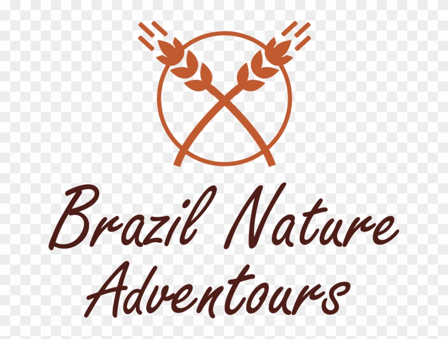 Unclog And Clean A Well's Submersible Water Pump - Brain Fuel Square Car Magnet 3" X 3" Clipart