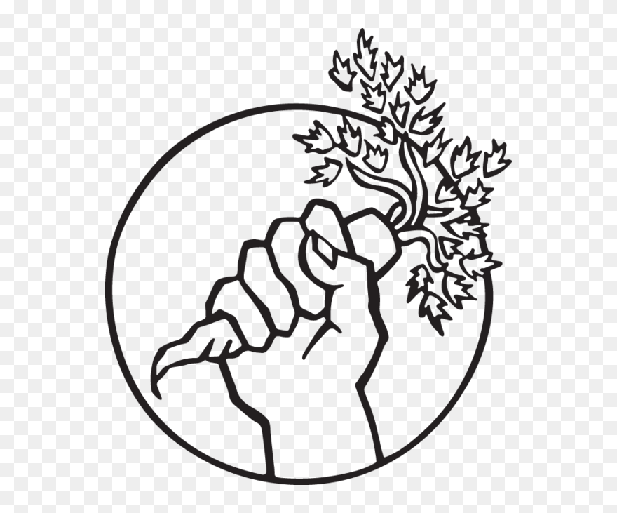 Hand With Carrot - Food Not Bombs Clipart