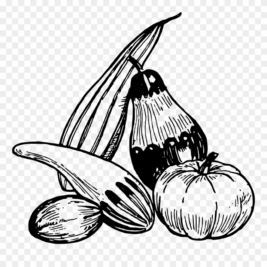 Pumpkin Vine Clipart - Vegetables Clipart Black And White Png Transparent Png