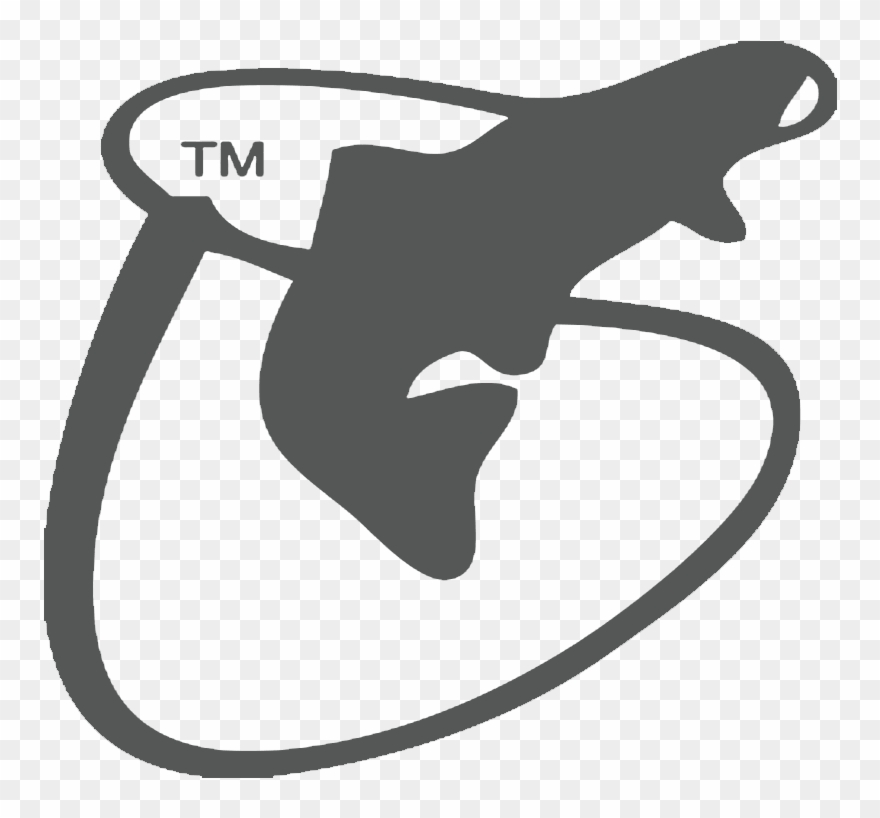 Brands - Scientific Anglers Clipart