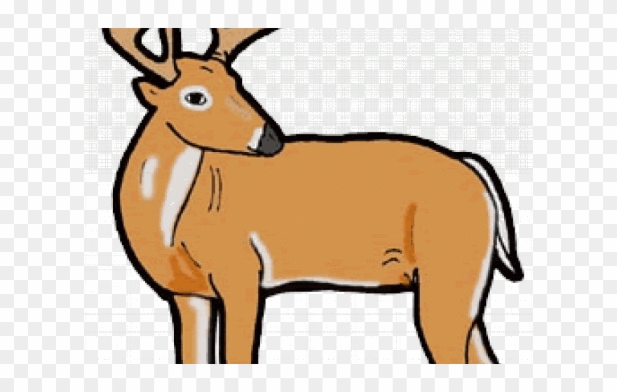 Fawn Clipart Clip Art - Deer Clipart - Png Download