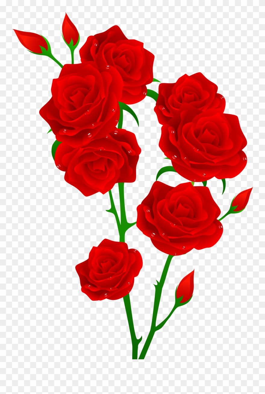 Red Roses Transparent Png Clip Art Image