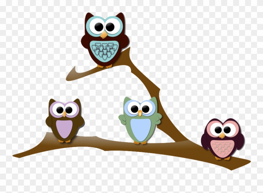 We Have 2 Dogs And A Cat In Our Home - Owl On A Branch Png Clipart