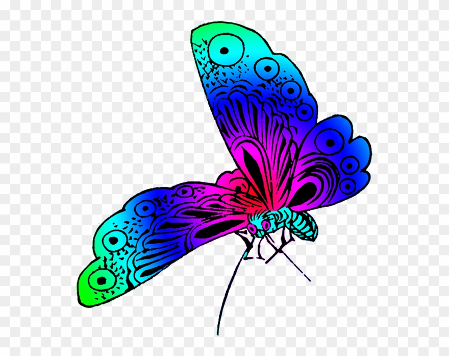 Wonderful Colored Japanese Butterfly - Butterfly Clipart With Color - Png Download