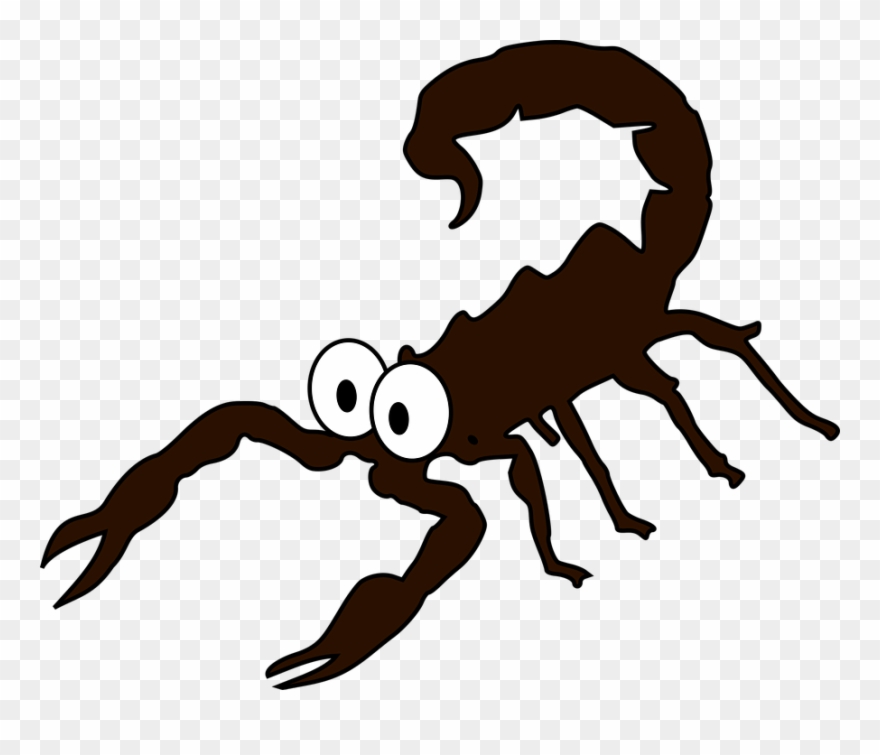 Spider Cartoon Images 24, Buy Clip Art - Escorpiao Png Transparent Png