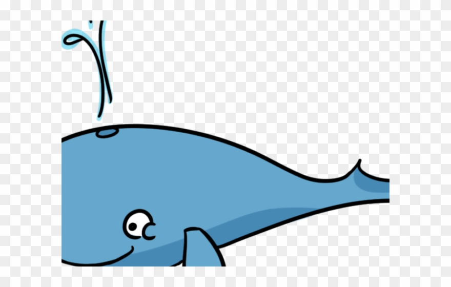 Whale Clipart Clip Art - Whale Flashcard - Png Download