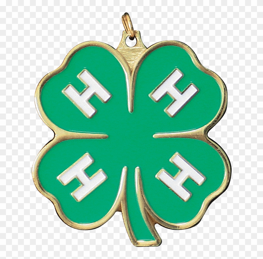 4-h Clover Embroidery Design - Boy And Girl Scout Of America Clipart