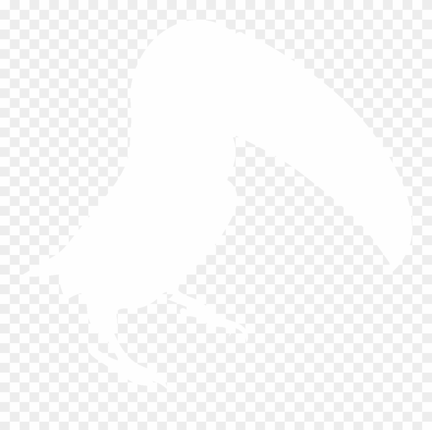 Compare Spanish Holiday Islands Toucan Icon White - Icon Clipart