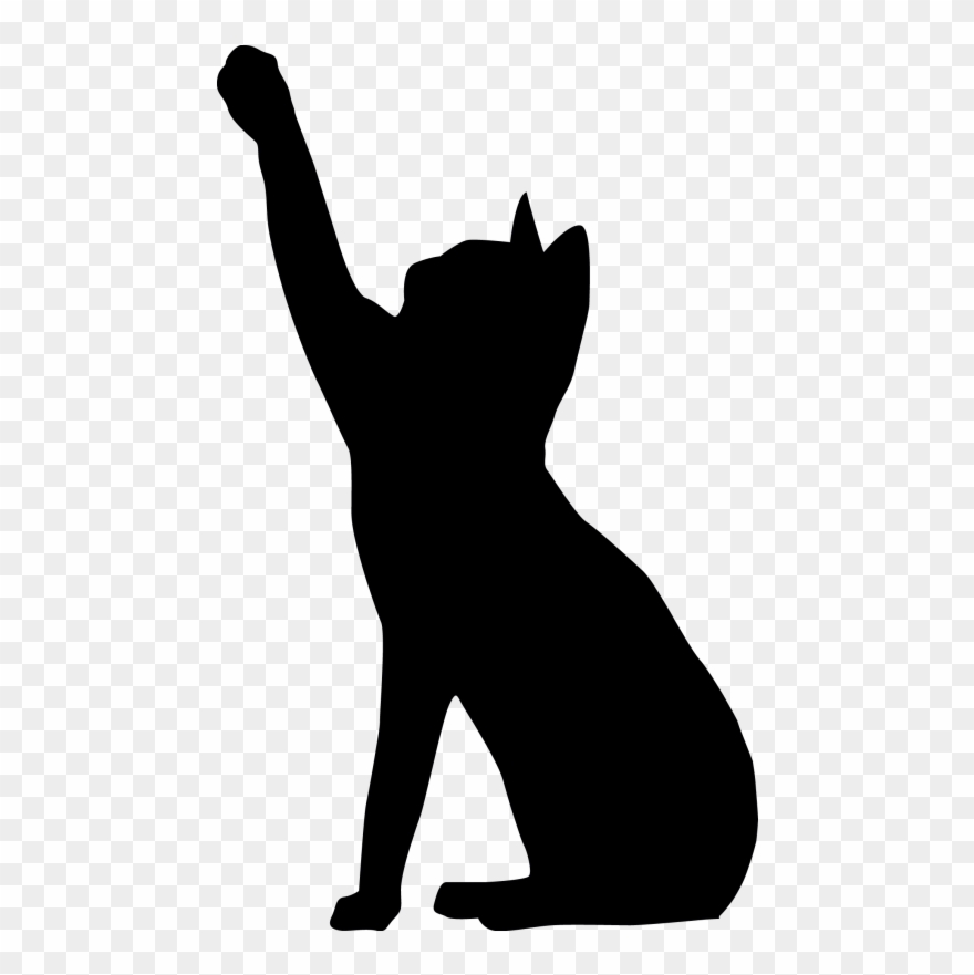 Confused Harold Stock Photo Png - Cat Silhouette Reach Clipart