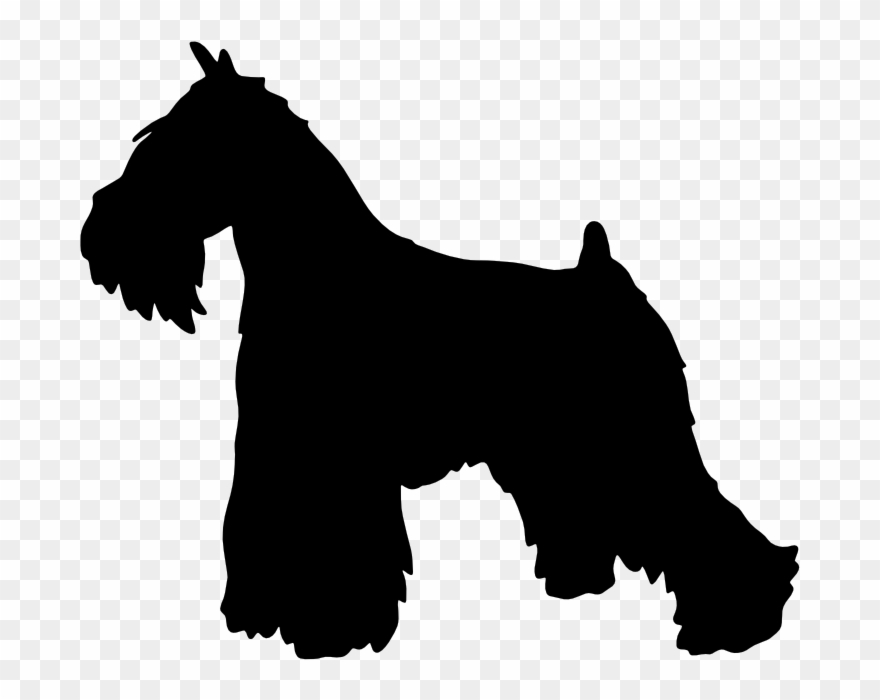Miniature Schnauzer Silhouette At Getdrawings - Miniature Schnauzer Clip Art - Png Download