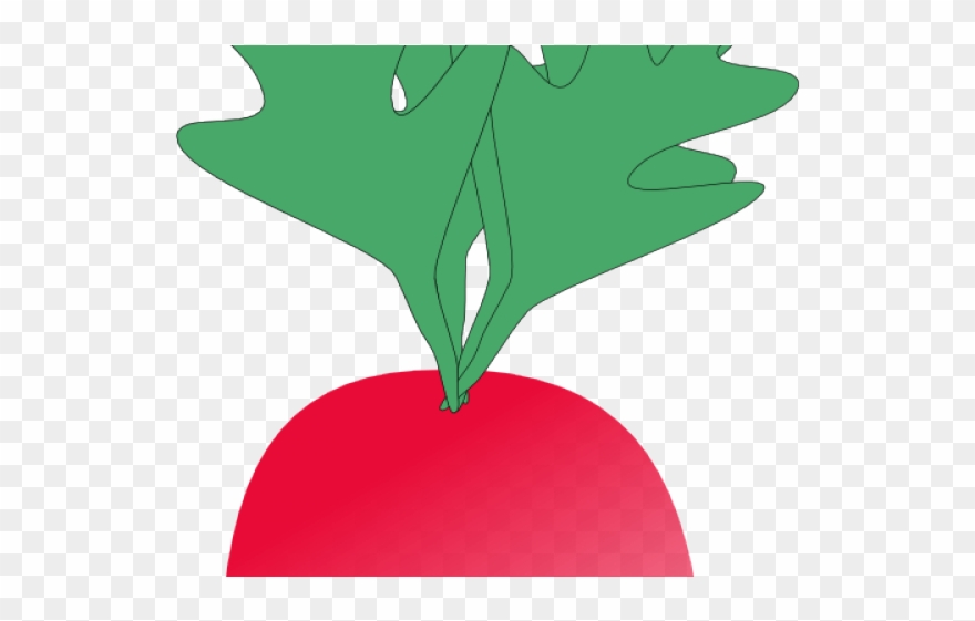 Radish Clipart Cartoon - Radish Clip Art - Png Download