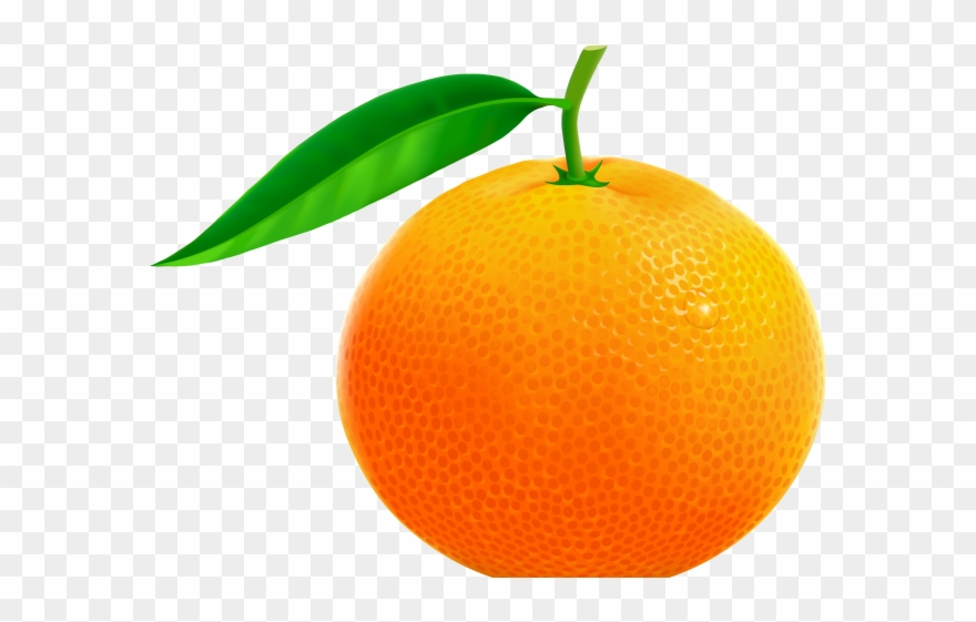 Tangerine Clipart Jeruk - Free Clip Art Orange - Png Download