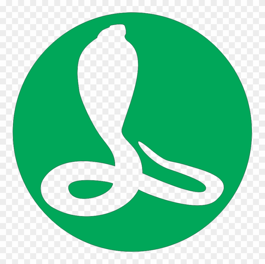 Snake Clipart Mean - Snake Kung Fu - Png Download