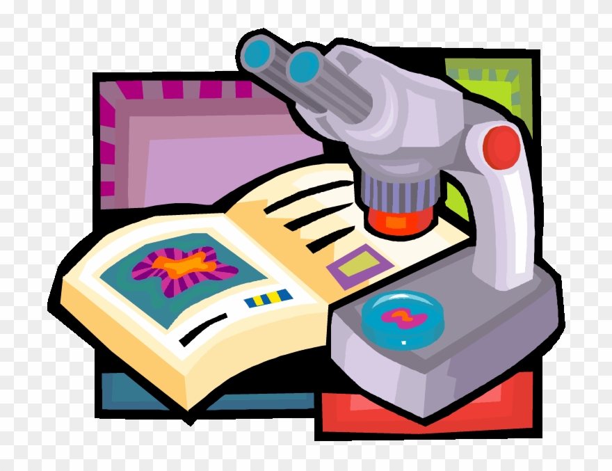 5 Steps To Success - Objective Biology For Pmt Clipart