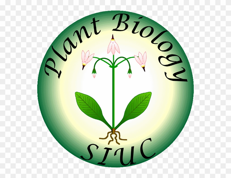 Plb Logo - Siu Plant Biology Logo Clipart