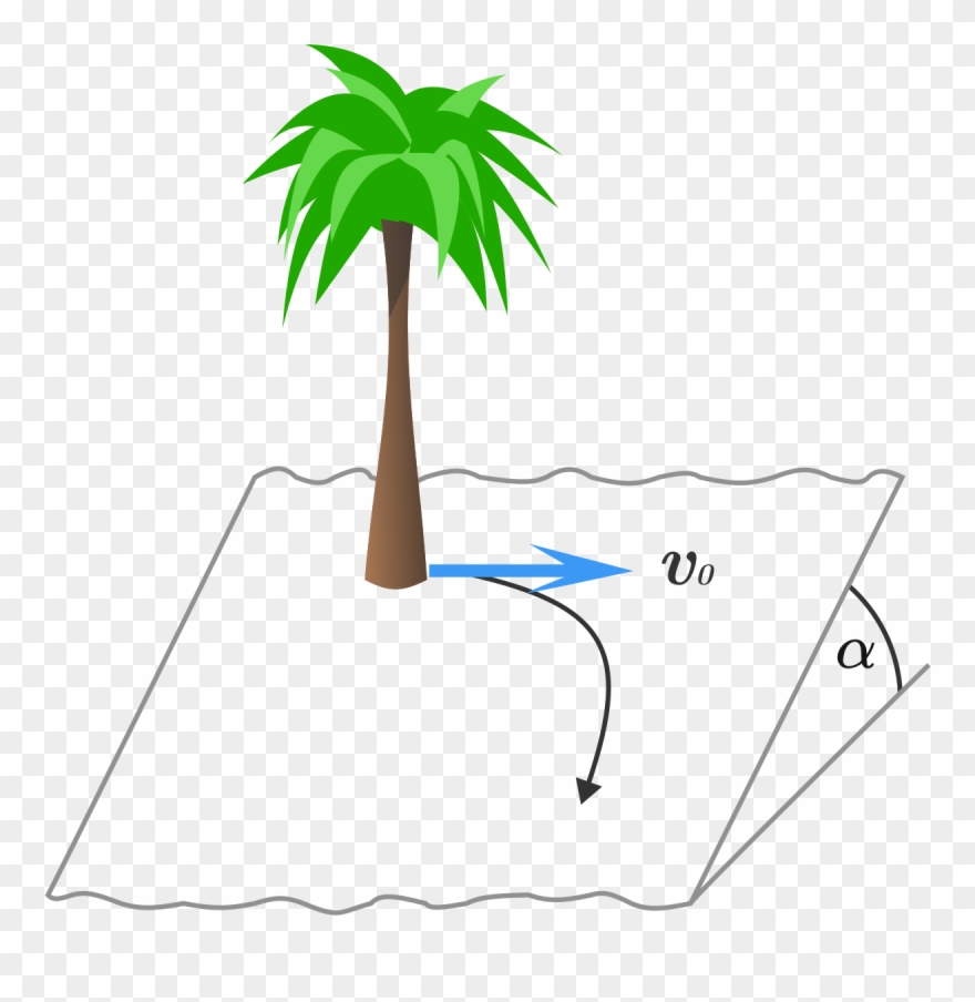 What Will Be This Child's Final Speed ) If Air Drag - Roystonea Clipart