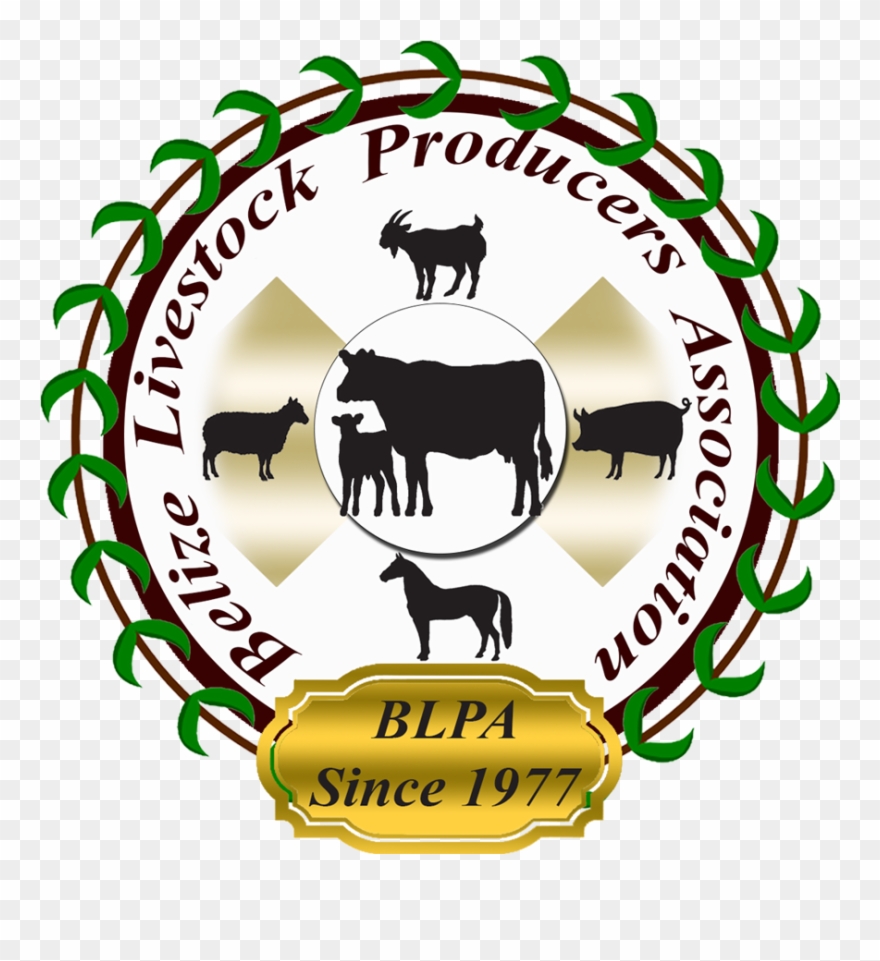 Belize Livestock Registry - Belize Livestock Producers Association Clipart