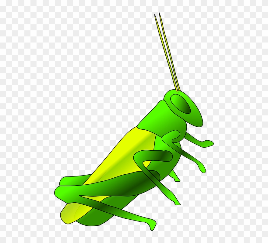 Crickets Clipart - Png Download