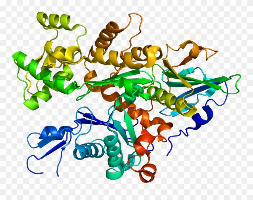 Protein Data Base 3-d Rendering Of The Gelsolin Protein - Human Epididymis Protein 4 Structure Clipart