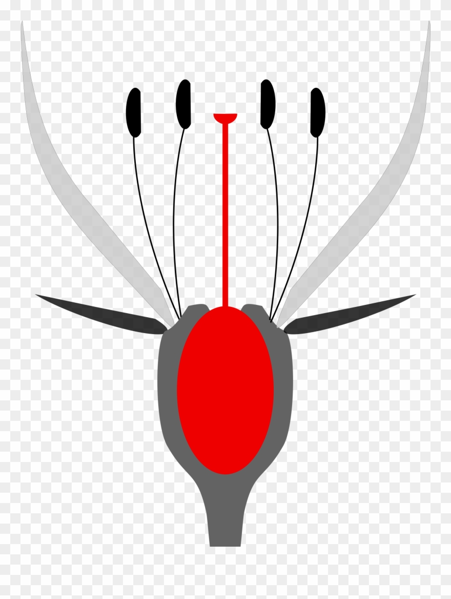 Open - Flower Clipart