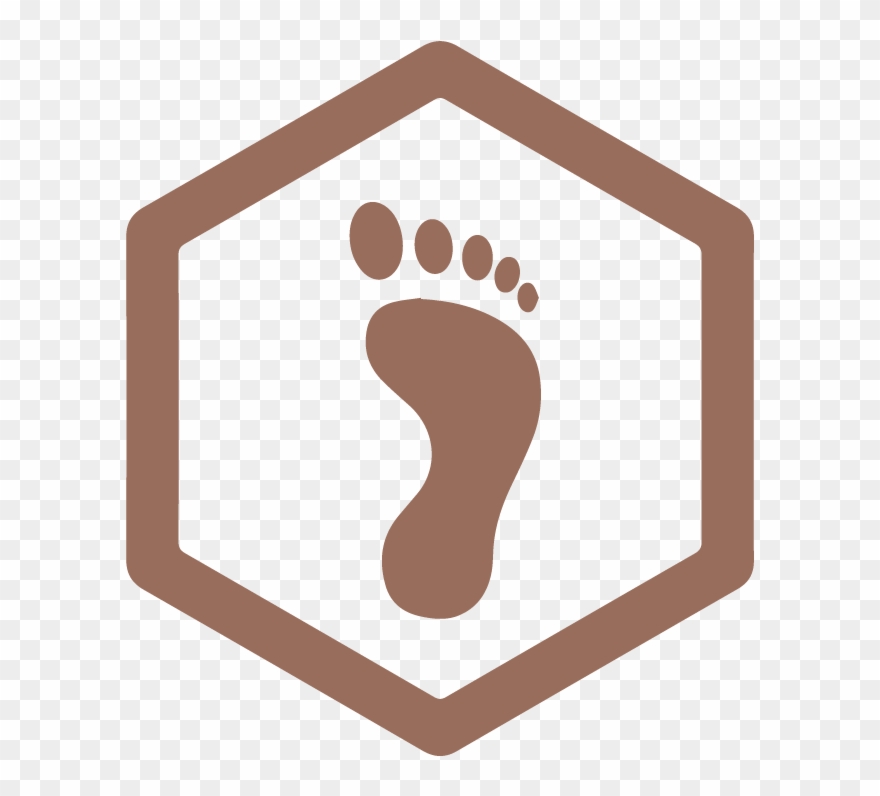 We Fabricate Prescription Orthotics Using State Of - Vector Graphics Clipart