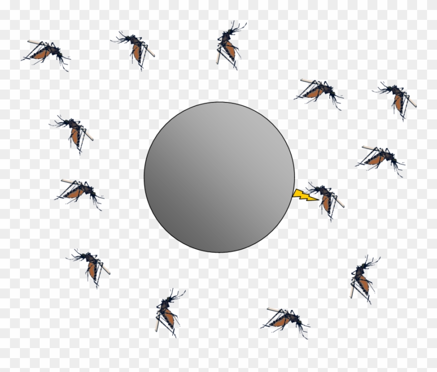 Bug Zappers And Electrostatics The Smoluchowski Diffusion Flying Mosquitoes Png Clipart