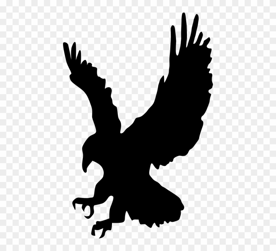 Eagle Flying Cliparts 16, Buy Clip Art - Hawk Clipart Black And White - Png Download